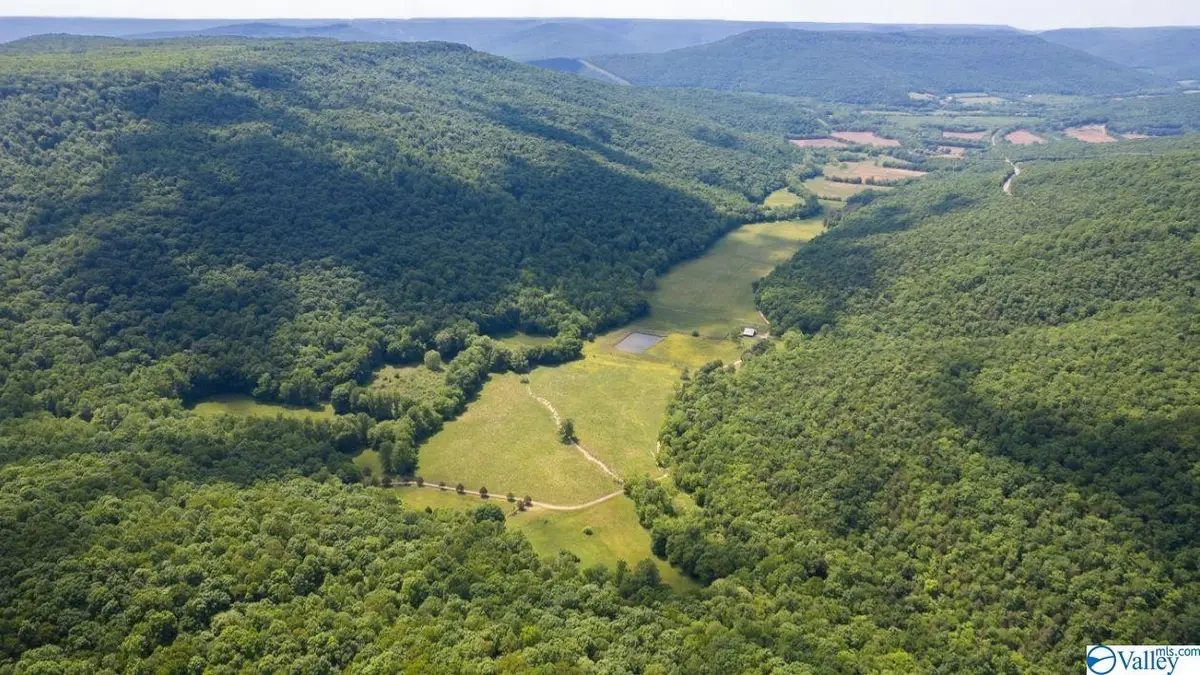 178 County Road 142, Princeton, AL 35766 - Image #1