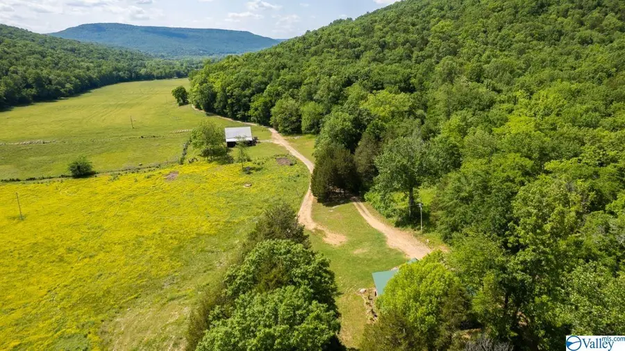 178 County Road 142, Princeton, AL 35766 - Image #3