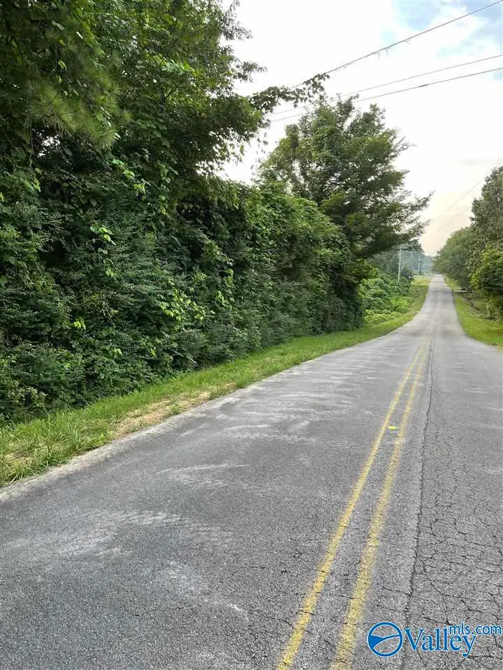 tbd 4th Street, Arab, AL 35016 - Image #1