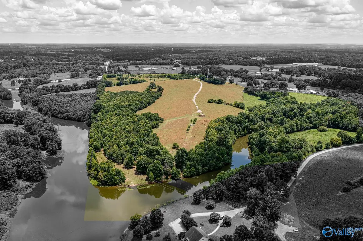 1941 County Road 1589, Baileyton, AL 35019 - Image #1