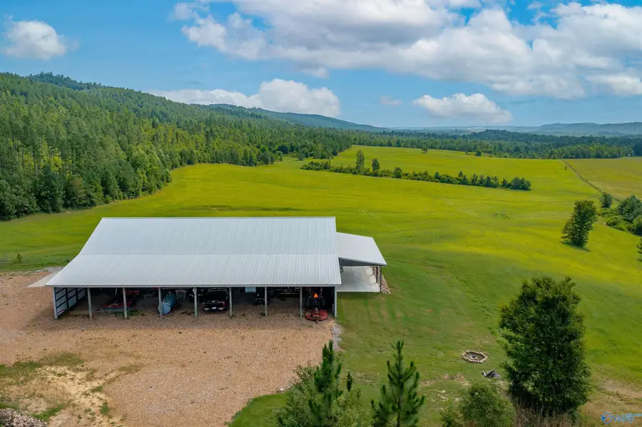 450 Armstrong Road, Ashville, AL 35953 - Image #2