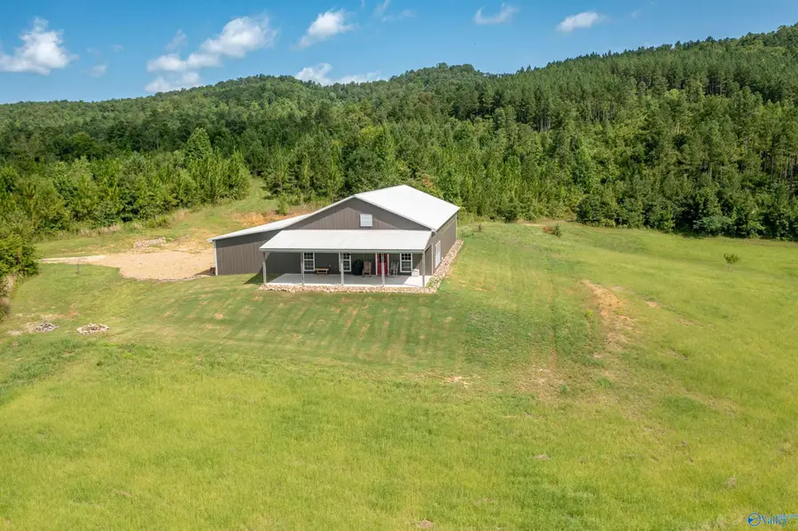 450 Armstrong Road, Ashville, AL 35953 - Image #3
