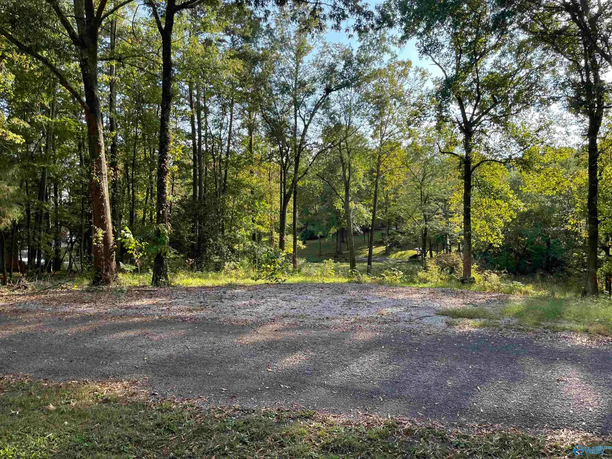 Lots 122 & 123 River Drive, Hollywood, AL 35752 - Image #1