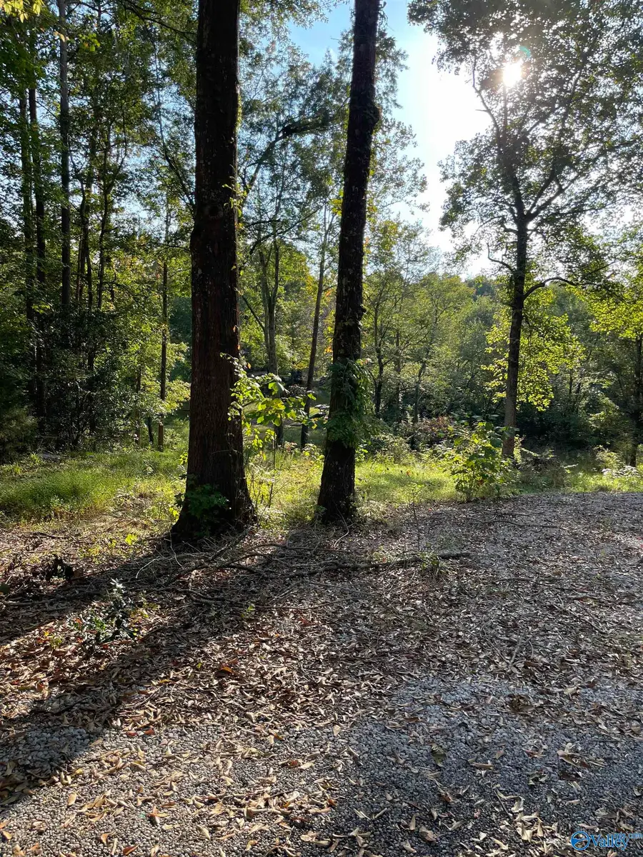 Lots 122 & 123 River Drive, Hollywood, AL 35752 - Image #3