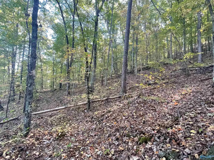 31,32,33 Maverick Drive, Ashville, AL 35953 - Image #2