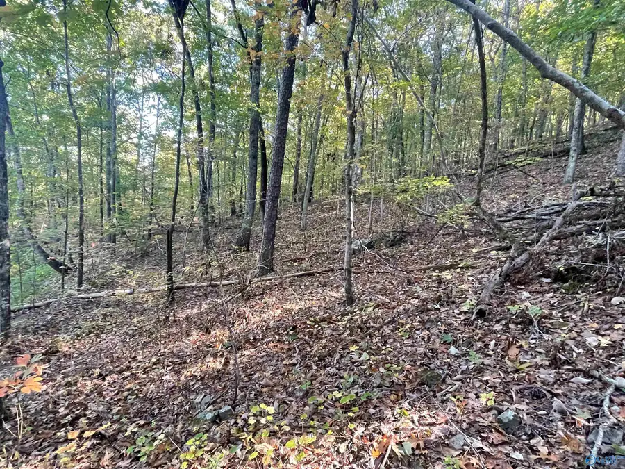 31,32,33 Maverick Drive, Ashville, AL 35953 - Image #3