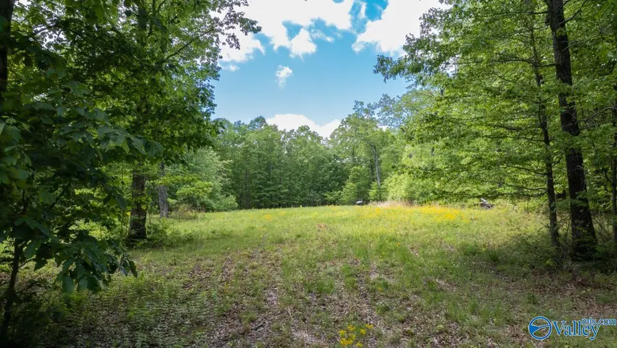 1203 County Road 303, Princeton, AL 35766 - Image #3