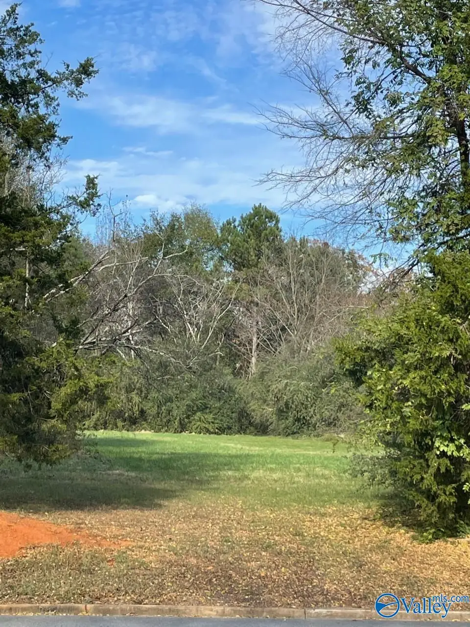 Lot Byler Road, Moulton, AL 35650 - Image #1