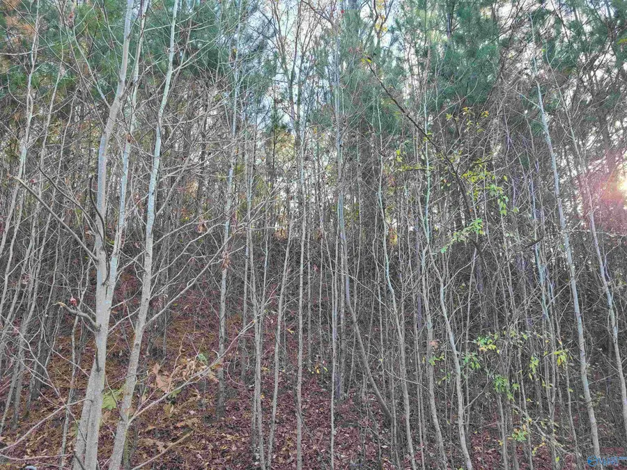 148 Monte Sano Drive, Scottsboro, AL 35769 - Image #2