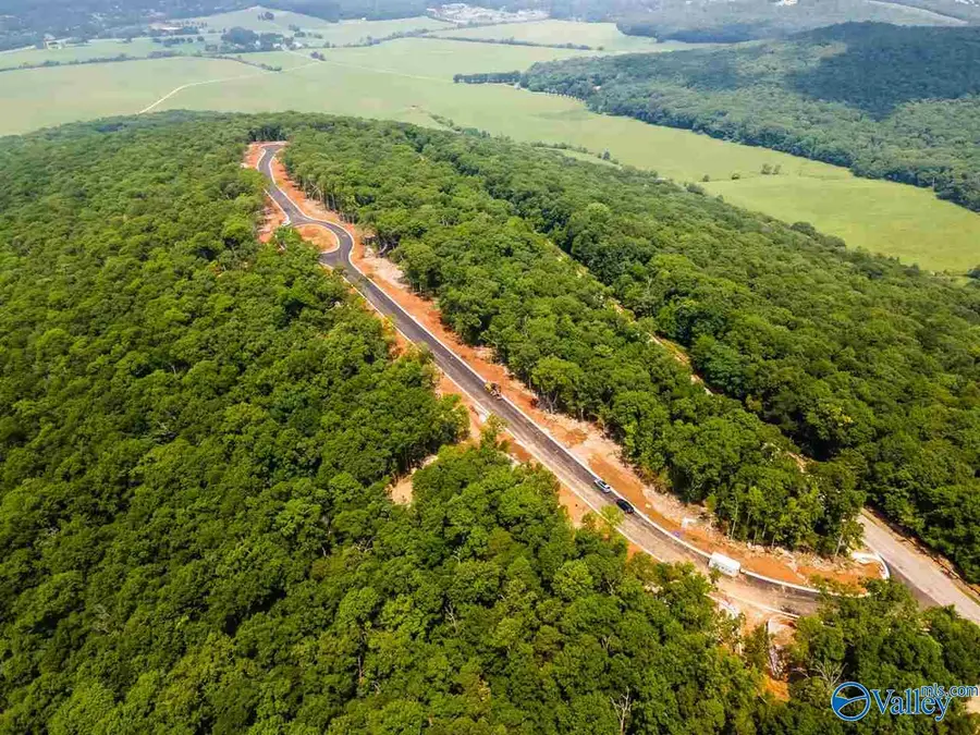 12 South Ridge, Huntsville, AL 35802 - Image #3