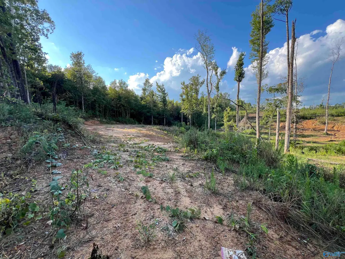 15ac County Road 700, Cullman, AL 35055 - Image #1