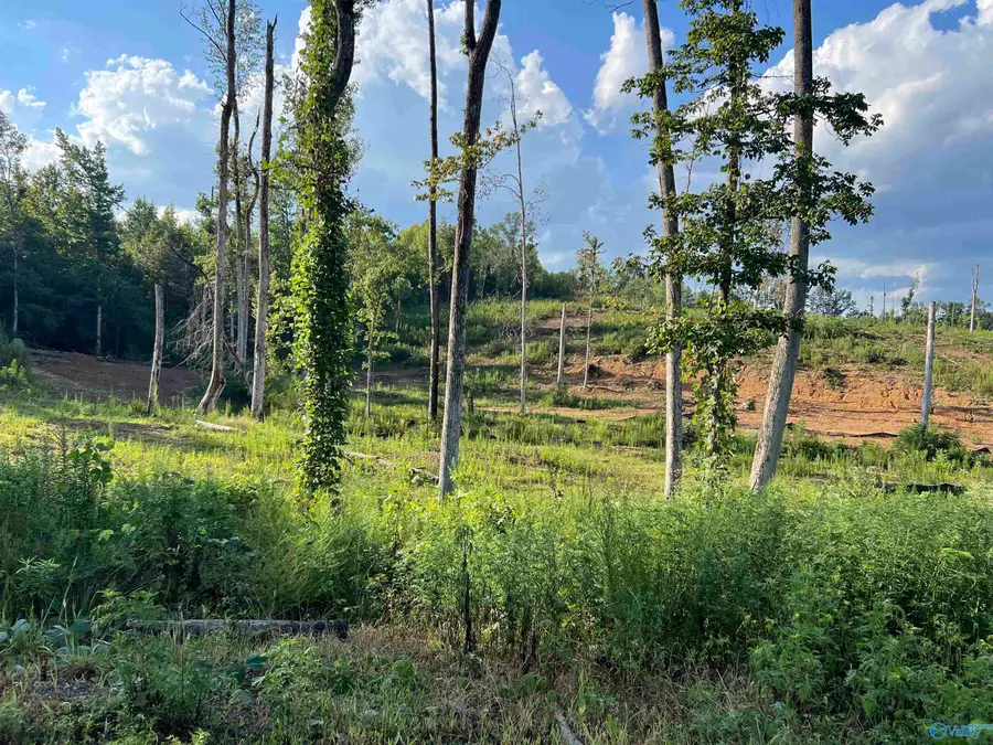 15ac County Road 700, Cullman, AL 35055 - Image #2