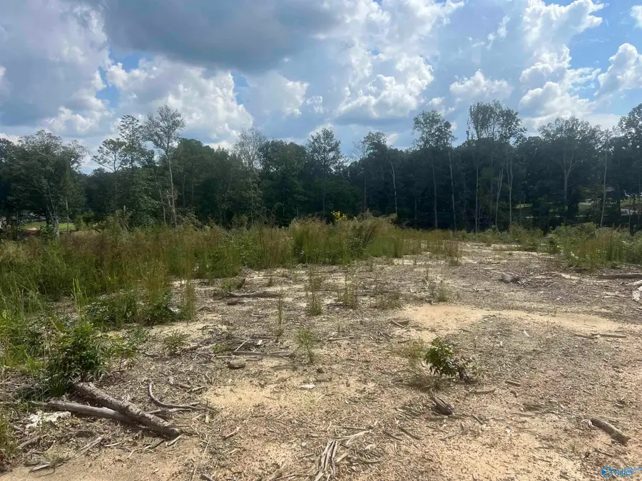 15ac County Road 700, Cullman, AL 35055 - Image #3