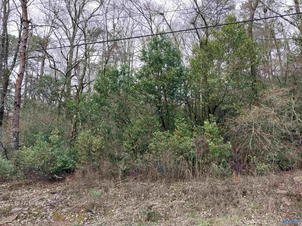 Lot #6 & #7 Shannon Drive, Gadsden, AL 35904 - Image #1