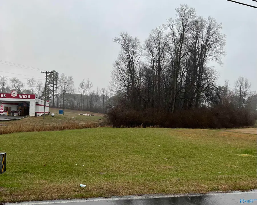 0.50 AC Golfview Drive Ne, Arab, AL 35016 - Image #3