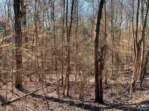 Lot 15 Cardinal Drive, Guntersville, AL 35976