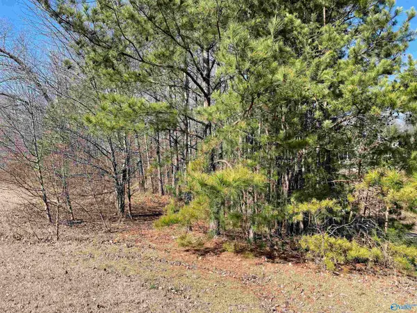 B Lot 17 Cardinal Drive, Guntersville, AL 35976