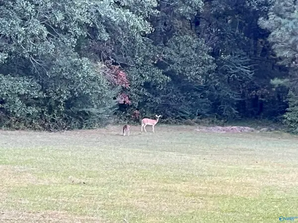 20 ac Sierra Drive Sw, Decatur, AL 35603