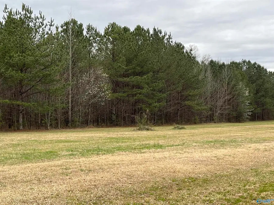 20 ac Sierra Drive Sw, Decatur, AL 35603 - Image #2