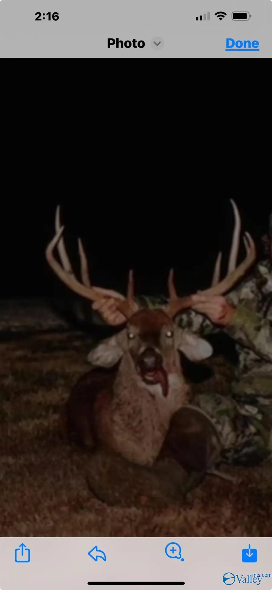 40.08 Six Mile Creek Road, Somerville, AL 35670 - Image #2