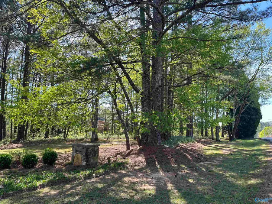 LOT 1 Beech Ridge, Gadsden, AL 35901 - Image #2