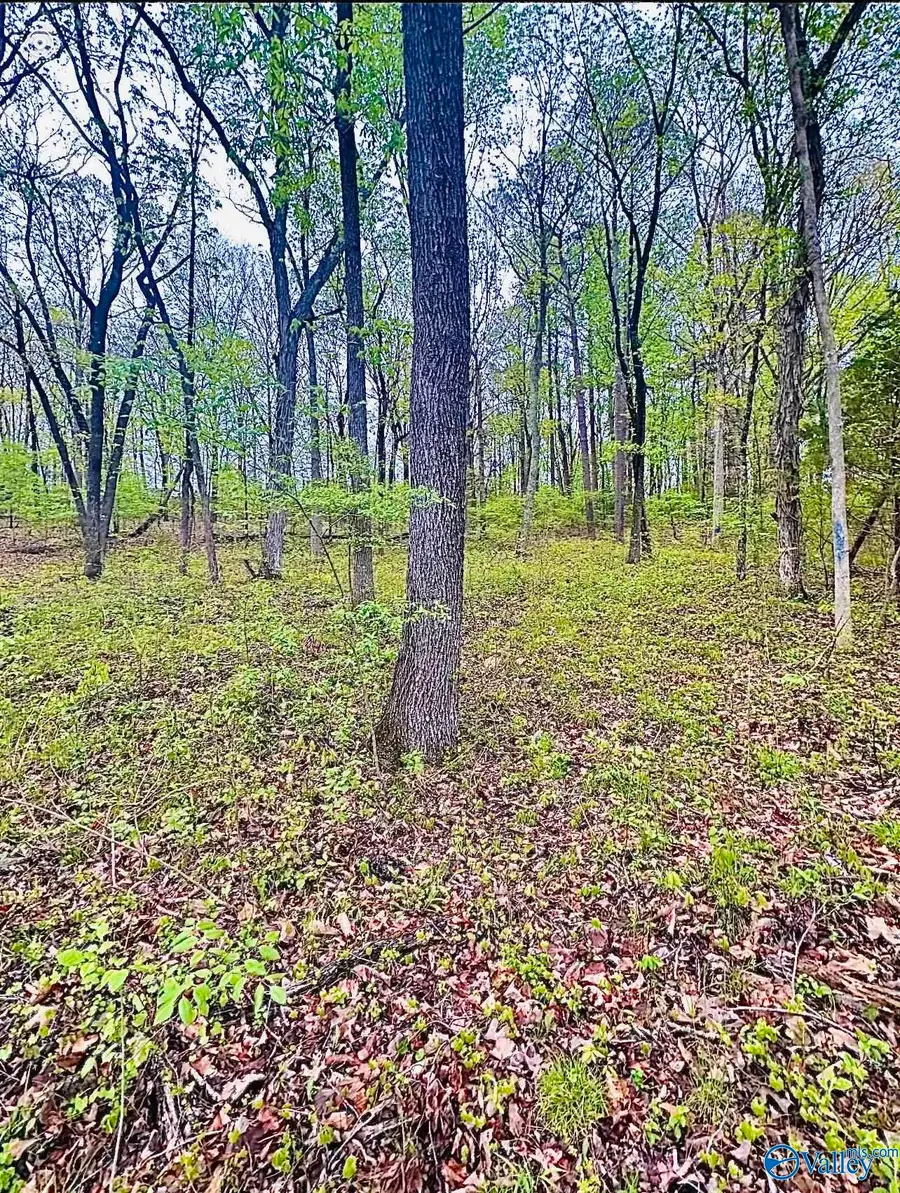 Lot 14 Murray Drive, Decatur, AL 35603 - Image #2