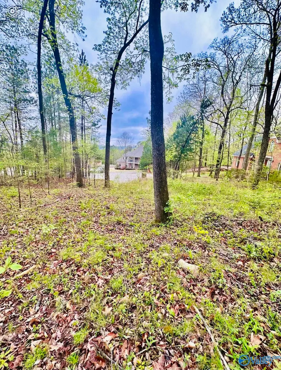 Lot 14 Murray Drive, Decatur, AL 35603 - Image #3