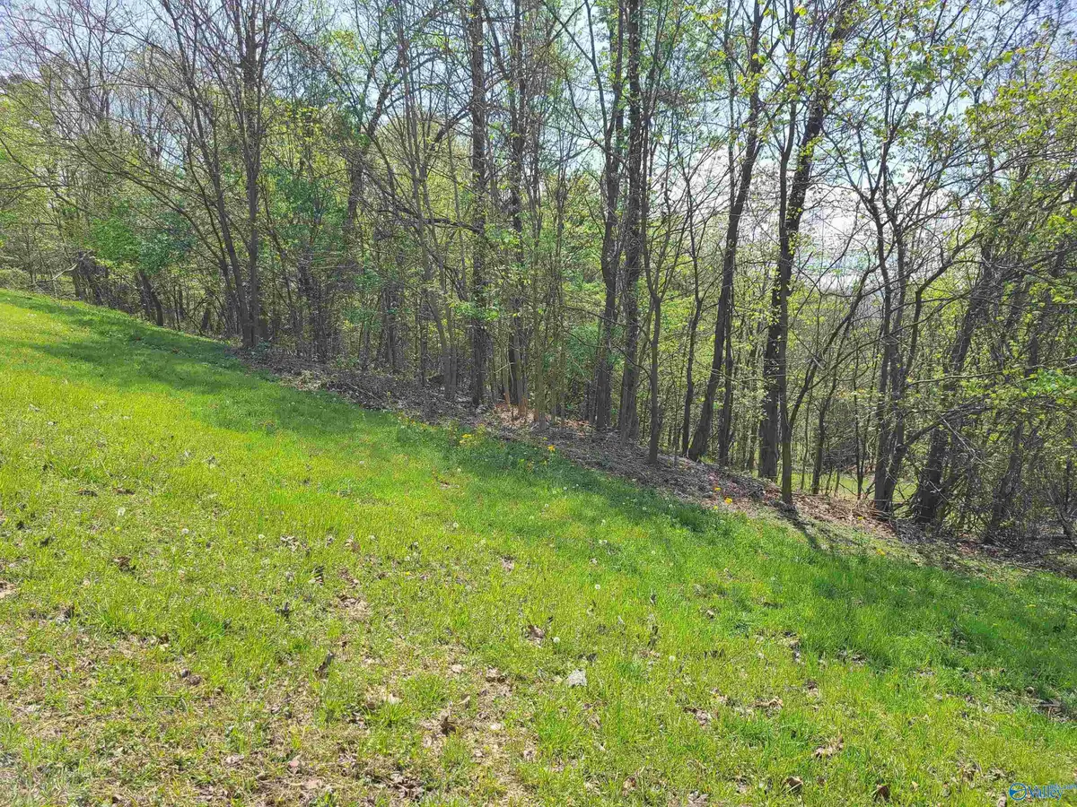 1283 Monte Sano Drive, Scottsboro, AL 35769 - Image #1