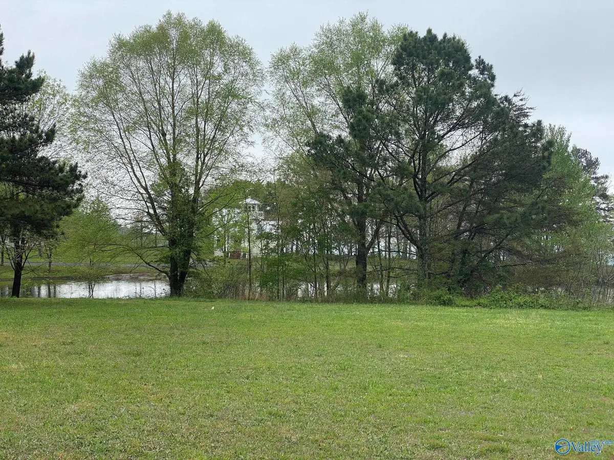 Lot 302 Main Street, Pisgah, AL 35765 - Image #1