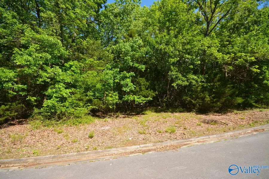 Lot 31 Burlington Drive, Huntsville, AL 35803 - Image #3