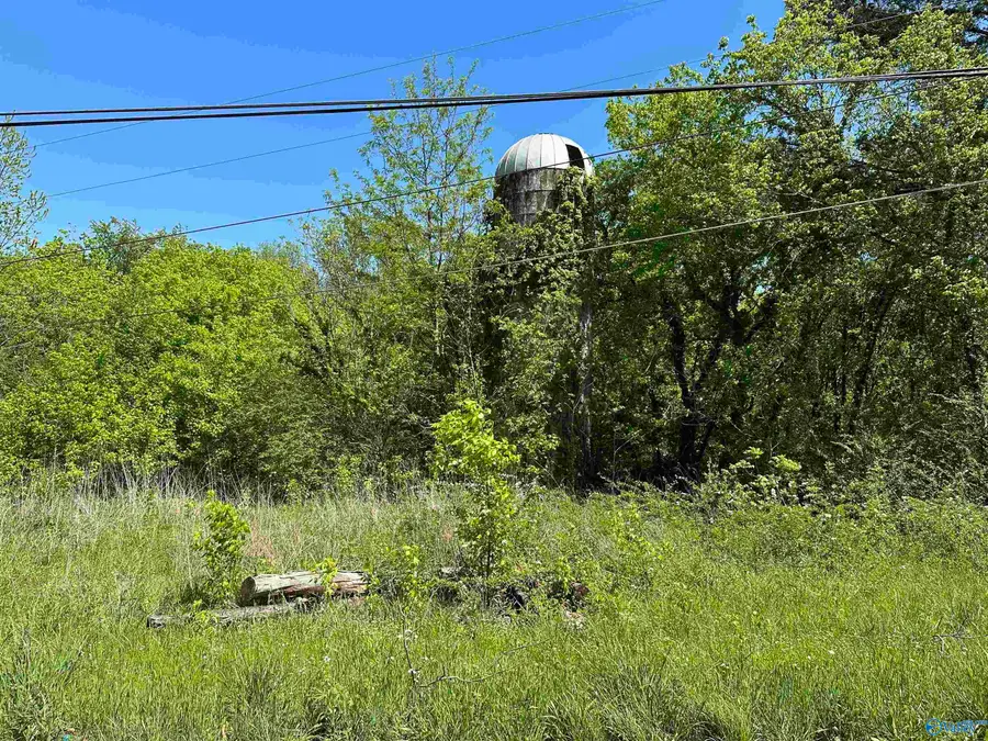 1.24 Highway 231, Laceys Spring, AL 35754 - Image #2