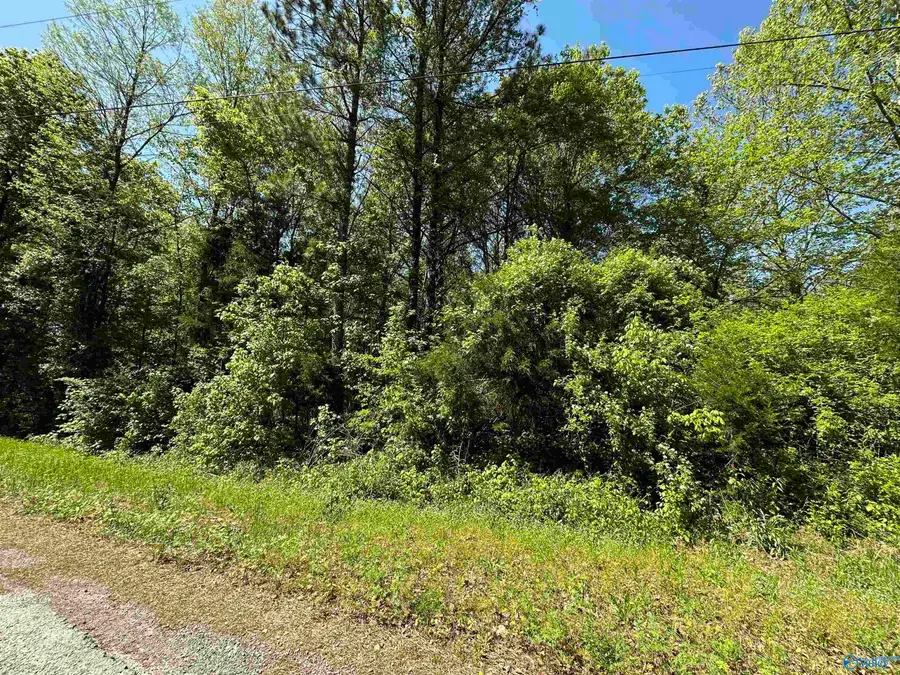 1.24 Highway 231, Laceys Spring, AL 35754 - Image #3