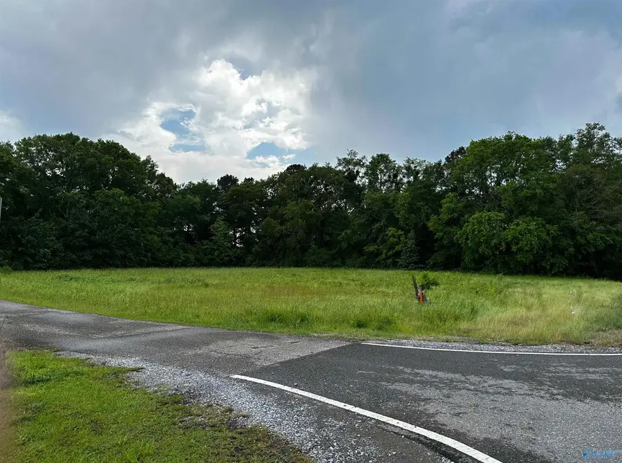 12690 Us Highway 78, Riverside, AL 35135 - Image #2