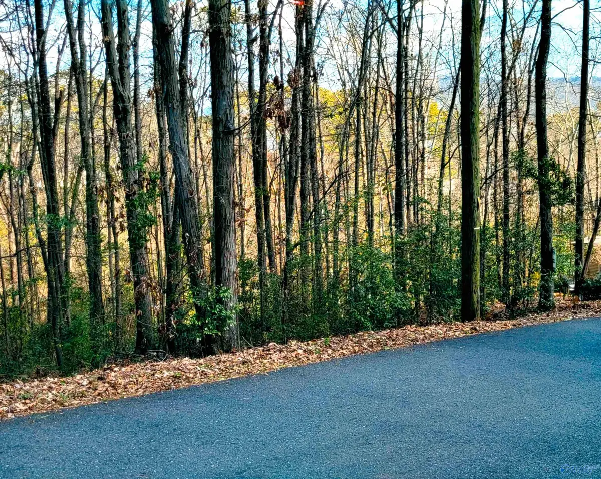 1808 Brown Street, Guntersville, AL 35976 - Image #1