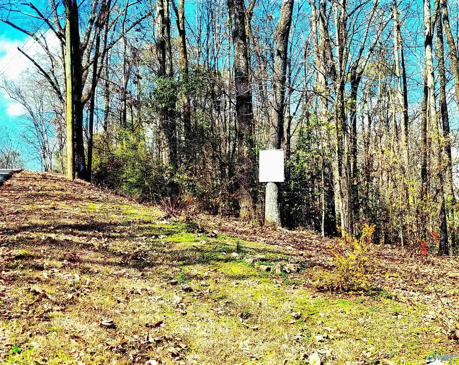 1808 Brown Street, Guntersville, AL 35976 - Image #3