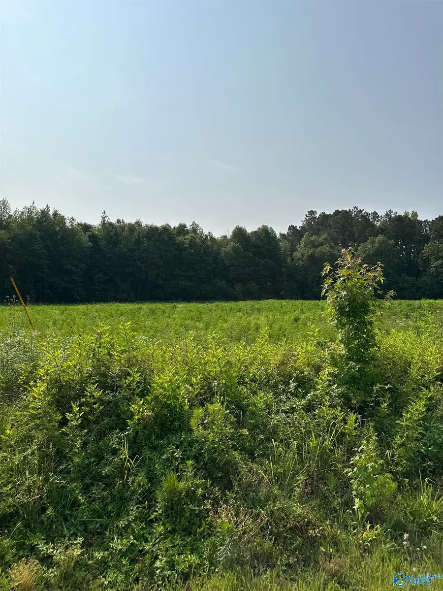 Tract 27 Hays Mill Road, Elkmont, AL 35620 - #2