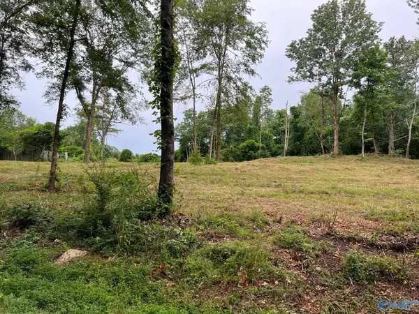 Lot 4 Cherrywood Drive, Guntersville, AL 35976