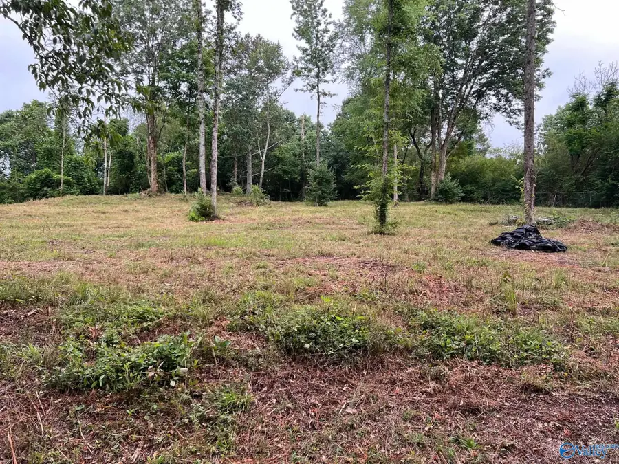 Lot 4 Cherrywood Drive, Guntersville, AL 35976 - Image #2