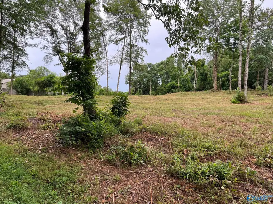 Lot 4 Cherrywood Drive, Guntersville, AL 35976 - Image #3