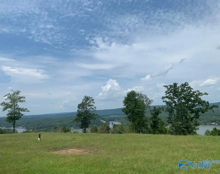 Lot 224 County Road 767 #224, Cedar Bluff, AL 35959 - Image #3