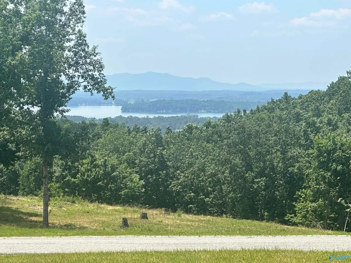 Lot 228 County Road 767 #228, Cedar Bluff, AL 35959 - Image #1