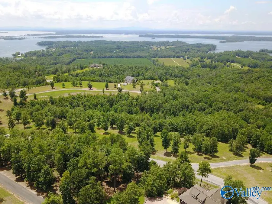 Lot 232 County Road 767 #232, Cedar Bluff, AL 35959 - Image #2