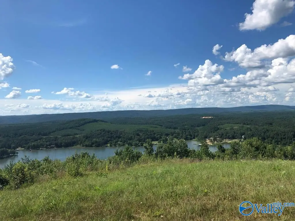 Lot 46 County Road 1016 #46, Cedar Bluff, AL 35959 - Image #1