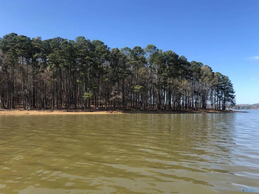 Lot 2 Little River Landing, Cedar Bluff, AL 35959 - #3