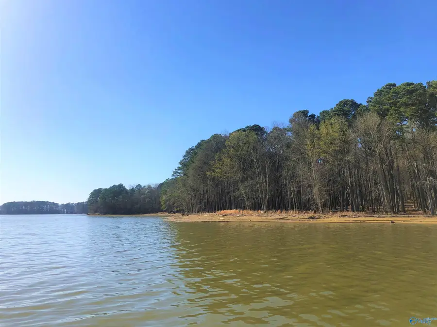 Lot 1 Little River Landing, Cedar Bluff, AL 35959 - #2