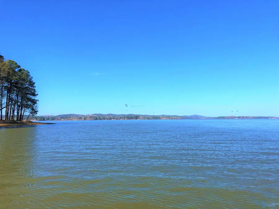 Lot 1 Little River Landing, Cedar Bluff, AL 35959 - #3