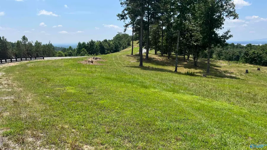 Lot 52 County Road 767 #Lot 52, Cedar Bluff, AL 35959 - Image #2