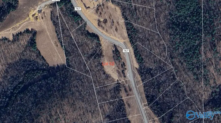 Lot 52 County Road 767 #Lot 52, Cedar Bluff, AL 35959 - Image #3