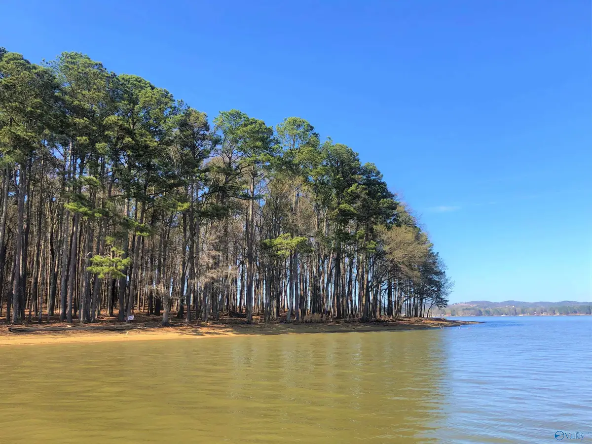Lot 5 Little River Landing, Cedar Bluff, AL 35959 - #1