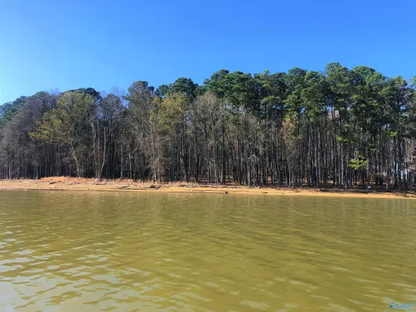 Lot 6 Little River Landing, CEDAR BLUFF, AL 35959